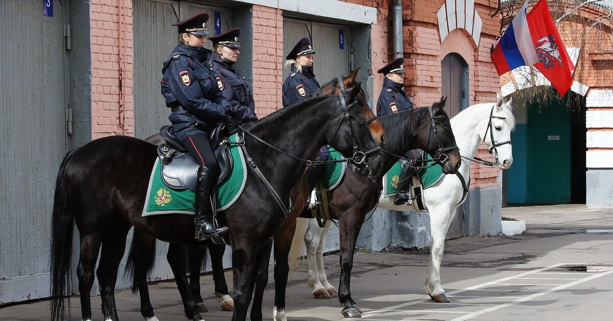 «Работа физически очень сложная». Как работает и для чего нужна конная полиция в Москве
